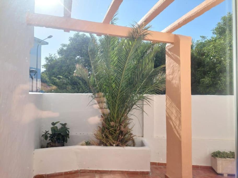 Piscina, Wifi, Patio Con Vistas Apartman Tarifa Kültér fotó
