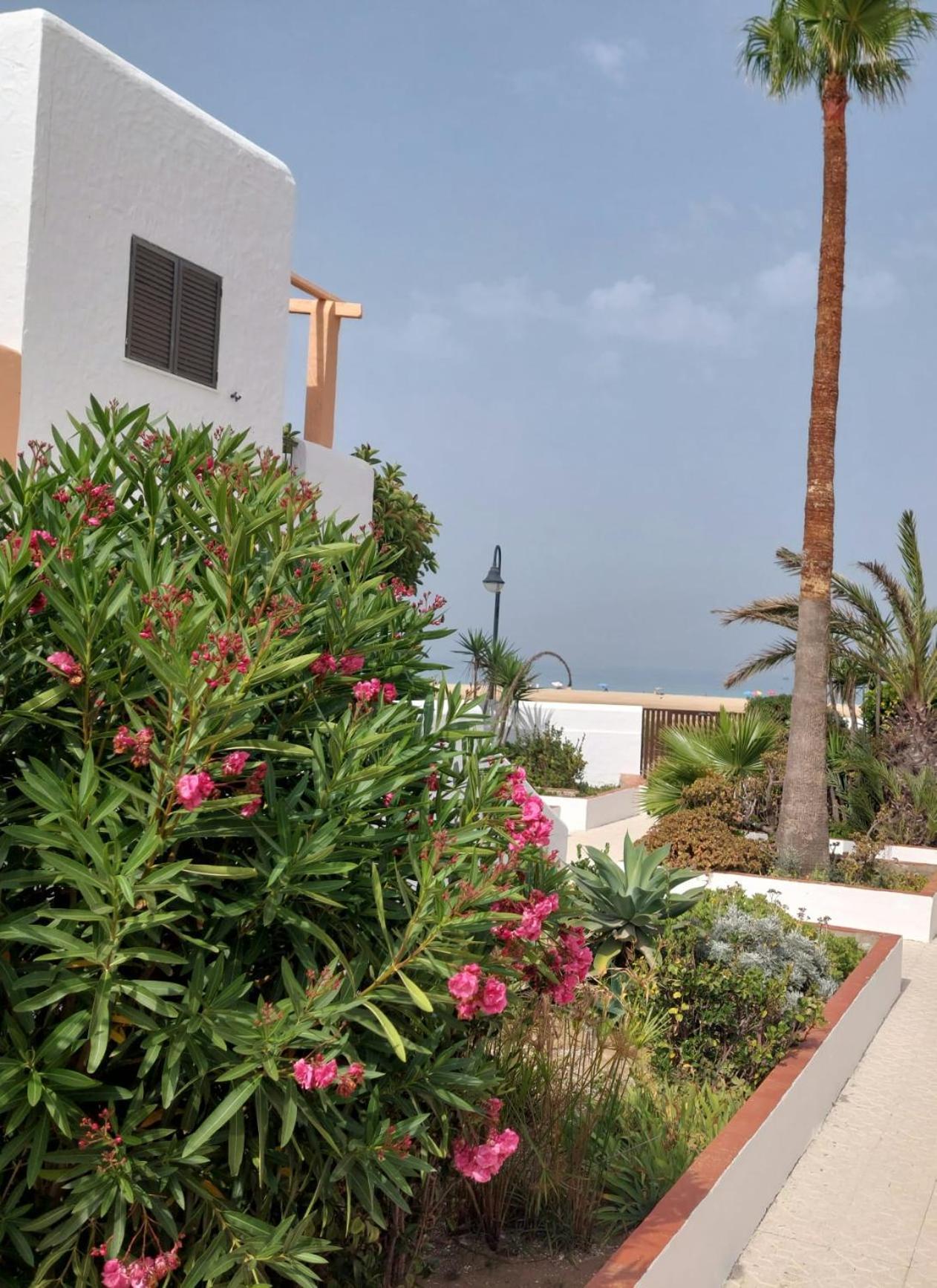 Piscina, Wifi, Patio Con Vistas Apartman Tarifa Kültér fotó